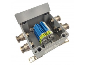 СКМ-15.121209-Exia-(8/2,5)BU-(2/2,5)-3(A)/20A2F1RA5-2(В)/20A2F1RA5